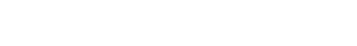 Logo aldu maginshop1