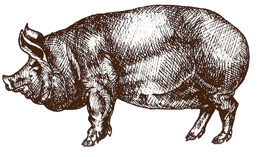 cortes de carne san juan mercado carne barata para vender Logo la morena carnes san juan mercado negocios restaurante res cerdo cerdo carne obrador la morena mercado de san juan carne fresca para negocio restaurantes